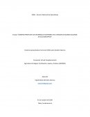 Generar propuesta de desarrollo sostenible en la region aplicando algunos de sus conceptos
