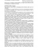 Los Videojuegos y su Impacto en el Mundo