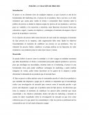 Politica y fijacion de precios