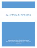 LA HISTORIA DE BIGBRAND Analisis