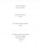 Ensayo erase una vez una fabrica