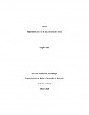 BRIEF Importancia del Uso de la Cascarilla de Arroz