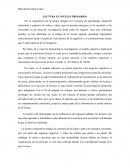LECTURA EN NIVELES PRIMARIOS