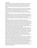 Cancer de mama. La prevención