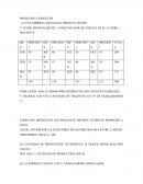 PROBLEMA A RESOLVER, produccion