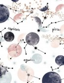 TECNICAS DE PLANEACION Y CONTROL