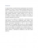 Ensayo sobre la Federación Internacional de Contaduría