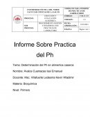 Determinación del Ph en alimentos caseros