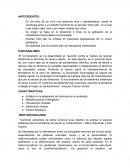 Resumen funcionalismo y neofuncionalismo