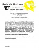 Informe descripcion de mercado