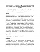 Ictiofauna presente en dos cuerpos de agua lenticos (Laguna carimagua y Guio)