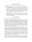 Proceso general del proyecto