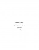 M Soledad Infante Planificación y Control de Gestión