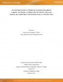 PLAN DE PREVENCIÓN Y CONTROL DE PATOLOGÍAS DE ORIGEN LABORAL: SECTOR DE LA FABRICACIÓN DE PARTES Y PIEZAS DE MADERA, DE CARPINTERÍA Y EBANISTERÍA PARA LA CONSTRUCCIÓN