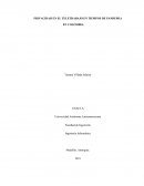 LA PRIVACIDAD EN EL TELETRABAJO EN TIEMPOS DE PANDEMIA EN COLOMBIA