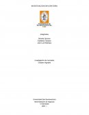 Taller Investigación de mercados