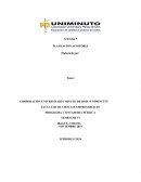 PLANEACION DE AUDITORIA