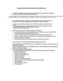 TRABAJO PRACTICO INTEGRAL PRACTICA PROFESIONAL 2020