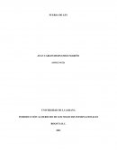 Fuerza de Ley