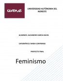 Investigación feminismo