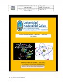 Guía de Prácticas del curso Laboratorio de Química Orgánica