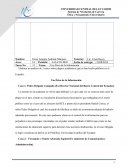 Casos de plagio en Ecuador (ensayo)