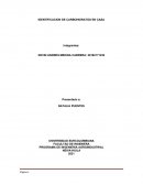 IDENTIFICACION DE CARBOHIDRATOS EN CASA