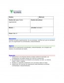 Diseño organizacional de una empresa