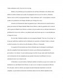 Todos sembramos café y One tree for every bag