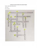 Actividad de la Literatura Medieval del renacimiento Español