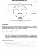 MODELO DE ANALISIS ORGANIZACIONAL (MAO)