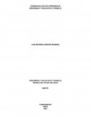EVIDENCIAS GUIA DE APRENDIZAJE. SEGURIDAD Y SALUD EN EL TRABAJO