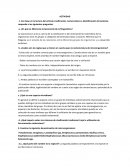 Ensayo ciclo de krebs - Apuntes 1