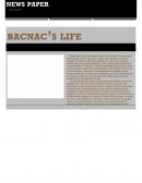 EL PERIÓDICO DIGITAL