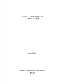 INFORME LABORATORIO EN CASA LEYES DE LOS GASES. Página 1