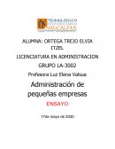 PROBLEMAS, RETOS, PELIGROS Y FACTORES DEL ÉXITO DE LAS PEQUEÑAS EMPRESAS