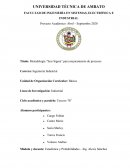 Seis Sigma para mejoramiento de procesos