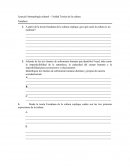 Analisis de comsumo, individualidad e invididualismo