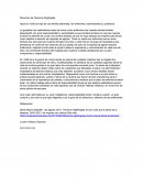 Resumen de Florence Ningtingale