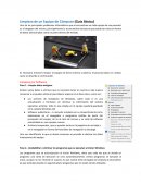 Limpieza de un Equipo de Cómputo (Guía Básica)