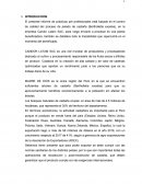 PERFIL DE PROYECTO CASTAÑA