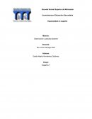 Observación y práctica docente