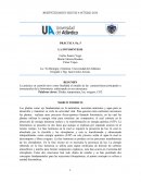 PRÁCTICA No. 5 LA FOTOSINTESIS