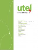 Taller Estudio de Mercado