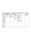 Proceso de Atencion de Enfermeria, ejemplo