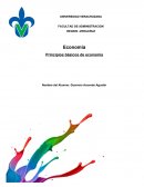 Principios básicos de economía