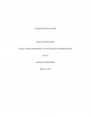 Reseña crítica minas de coltán