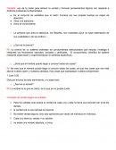 Apuntes de criterios de verdad