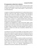 El componente cultural de la violencia