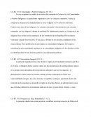 Comunidades y Pueblos Indígena